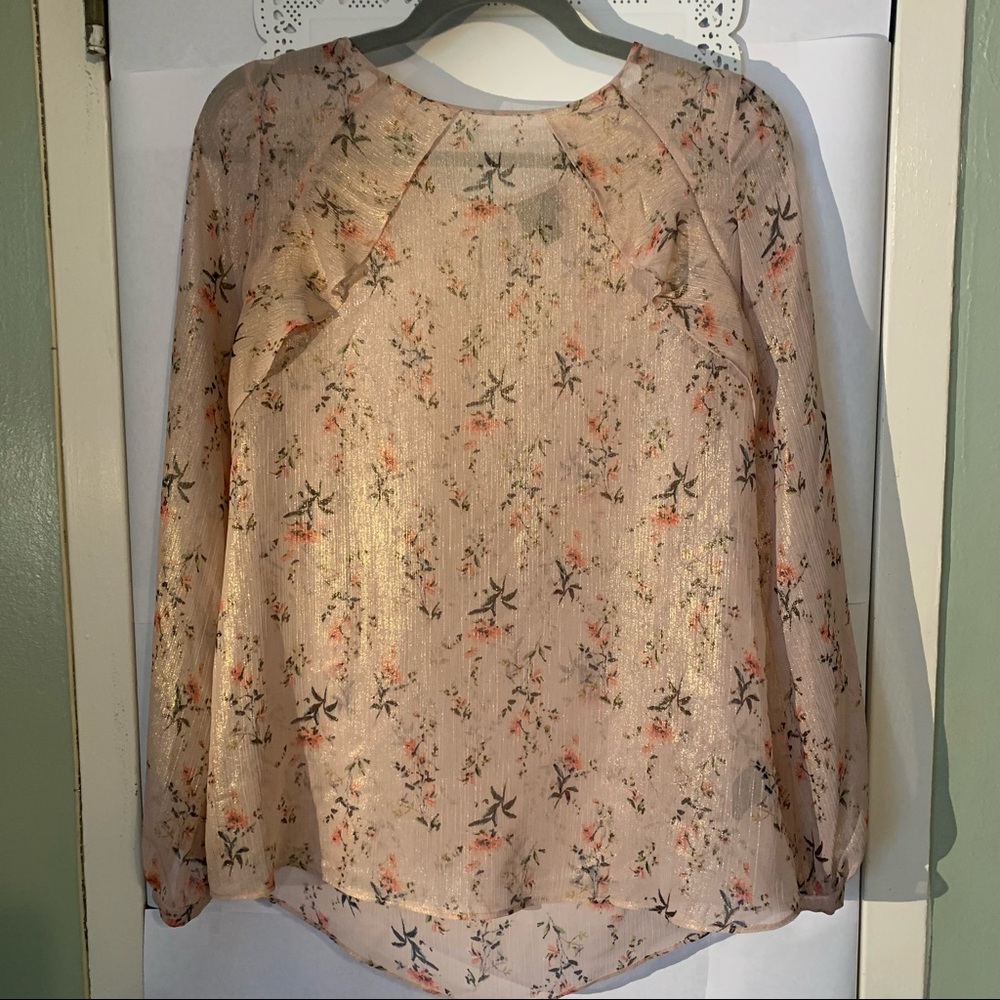 Sheer Pink Flower Blouse